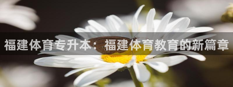 杏耀开户