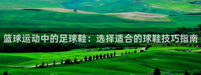 杏耀平台正规么