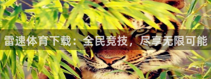 杏耀体育平台总代理