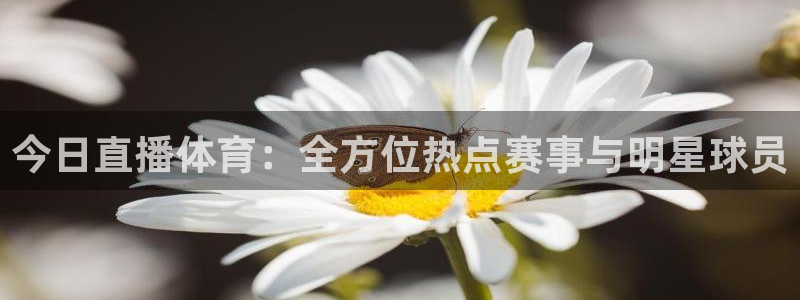 杏耀4平台